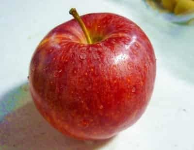 办公室白领瘦身减肥法,轻松简单有效享瘦一夏 减肥方法 第3张-瘦瘦减肥网 办公室白领瘦身减肥法,轻松简单有效享瘦一夏 减肥方法 第3张