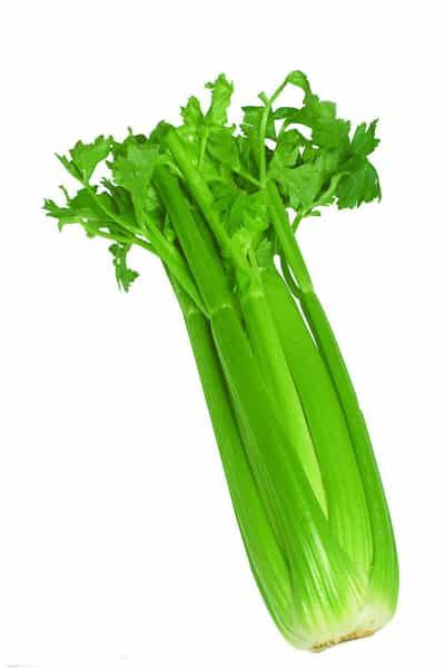 秋季芹菜瘦身减肥食谱，教你如何养生并减肥瘦身 减肥食谱 第5张