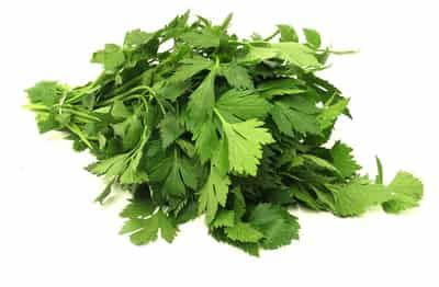 秋季芹菜瘦身减肥食谱，教你如何养生并减肥瘦身 减肥食谱 第4张