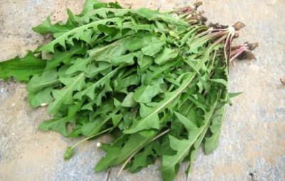 吃野菜减肚子是真的吗，春季万物复苏野菜竟能瘦腹 减肚子 第3张