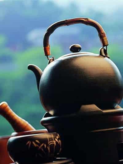 早春八款自制减肥茶配方,减肥养颜美容不轻易反弹 减肥饮品 第6张-瘦瘦减肥网 早春八款自制减肥茶配方,减肥养颜美容不轻易反弹 减肥饮品 第6张