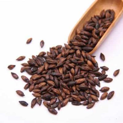 喝大麦茶能减肥吗,揭秘其蕴藏的减肥功效与作用 减肥饮品 第2张-瘦瘦减肥网 喝大麦茶能减肥吗,揭秘其蕴藏的减肥功效与作用 减肥饮品 第2张