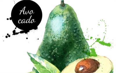 减肥食物，无需节食也能减肥成功 节食减肥 第3张