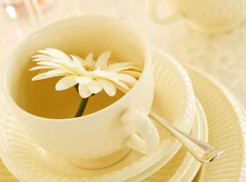 秋季八款中药减肥瘦身茶秘密配方 减肥饮品 第7张-瘦瘦减肥网 秋季八款中药减肥瘦身茶秘密配方 减肥饮品 第7张