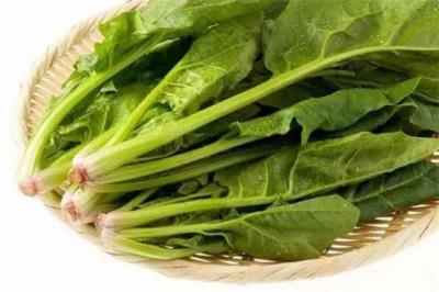 怎么瘦脸瘦腿,有什么办法瘦脸瘦腿呢 瘦脸 第1张-瘦瘦减肥网 怎么瘦脸瘦腿,有什么办法瘦脸瘦腿呢 瘦脸 第1张