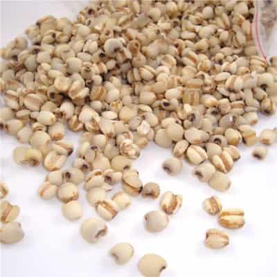 一周薏米减肥食谱,狂甩赘肉快速瘦出曲线 减肥食谱 第2张-瘦瘦减肥网 一周薏米减肥食谱,狂甩赘肉快速瘦出曲线 减肥食谱 第2张