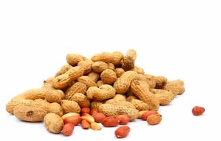 秋季减肥食物排行榜,教你如何健康瘦身又快又有效 减肥 第5张-瘦瘦减肥网 秋季减肥食物排行榜,教你如何健康瘦身又快又有效 减肥 第5张