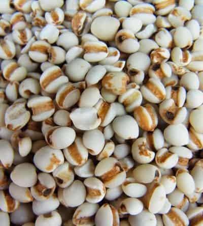 一周薏米减肥食谱,狂甩赘肉快速瘦出曲线 减肥食谱 第3张-瘦瘦减肥网 一周薏米减肥食谱,狂甩赘肉快速瘦出曲线 减肥食谱 第3张