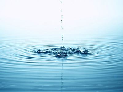 白领健康饮食减肥法，教你正确搭配食物瘦身 减肥方法 第3张