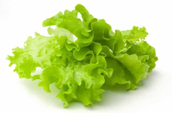 夏天吃什么蔬菜减肥最快,最减肥的饮食法 减肥蔬菜 第4张-瘦瘦减肥网 夏天吃什么蔬菜减肥最快,最减肥的饮食法 减肥蔬菜 第4张