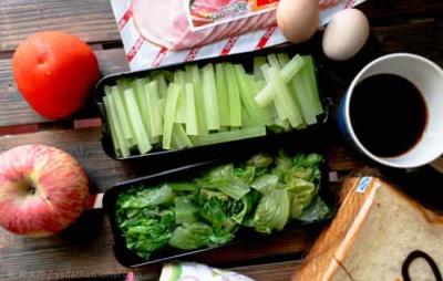 哥本哈根减肥原理,详解三大减肥因素 减肥 第1张-瘦瘦减肥网 哥本哈根减肥原理,详解三大减肥因素 减肥 第1张