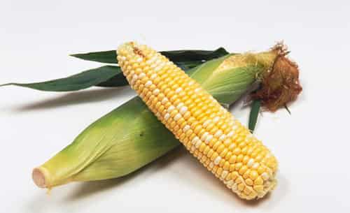 狂吃不胖的营养瘦身甩脂食物有哪些 饮食减肥 第8张-瘦瘦减肥网 狂吃不胖的营养瘦身甩脂食物有哪些 饮食减肥 第8张