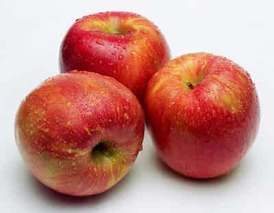 吃什么东西可以减肥,减肥食物大分享让你快速瘦身 饮食减肥 第1张-瘦瘦减肥网 吃什么东西可以减肥,减肥食物大分享让你快速瘦身 饮食减肥 第1张