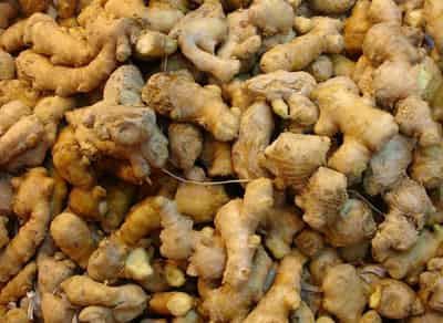 生姜快速减肥瘦身法,月掉十斤赘肉不反弹 快速减肥 第2张-瘦瘦减肥网 生姜快速减肥瘦身法,月掉十斤赘肉不反弹 快速减肥 第2张