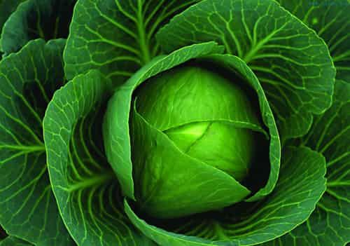 丰胸又瘦身的食物与运动，让你拥有完美迷人曲线 丰胸 第16张