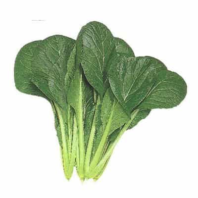 健康减肥瘦身餐，五天恢复完美身材 减肥 第1张