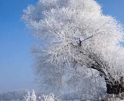 传授减肥达人快速健康瘦身心得与经验 减肥 第4张-瘦瘦减肥网 传授减肥达人快速健康瘦身心得与经验 减肥 第4张