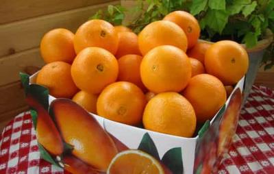 橘子能减肥吗,冬季水果减肥推荐橘子 减肥水果 第1张-瘦瘦减肥网 橘子能减肥吗,冬季水果减肥推荐橘子 减肥水果 第1张