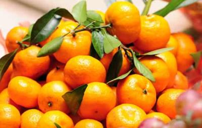 橘子能减肥吗,冬季水果减肥推荐橘子 减肥水果 第8张-瘦瘦减肥网 橘子能减肥吗,冬季水果减肥推荐橘子 减肥水果 第8张