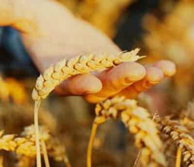 夏日减肥最快秘籍,快速瘦身成功经验 减肥 第4张-瘦瘦减肥网 夏日减肥最快秘籍,快速瘦身成功经验 减肥 第4张