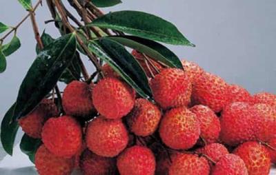 吃荔枝会长胖吗,高糖高热的荔枝怎么吃不发胖 饮食减肥 第8张-瘦瘦减肥网 吃荔枝会长胖吗,高糖高热的荔枝怎么吃不发胖 饮食减肥 第8张