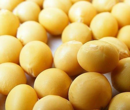 瘦身零食排行榜,健康减肥怎么吃都不胖 饮食减肥 第3张-瘦瘦减肥网 瘦身零食排行榜,健康减肥怎么吃都不胖 饮食减肥 第3张