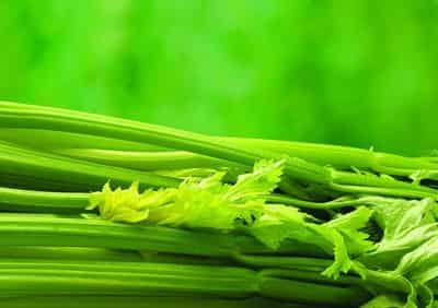 夏季减肥瘦身食品有哪些,怎样才能快速健康瘦身 减肥 第1张-瘦瘦减肥网 夏季减肥瘦身食品有哪些,怎样才能快速健康瘦身 减肥 第1张