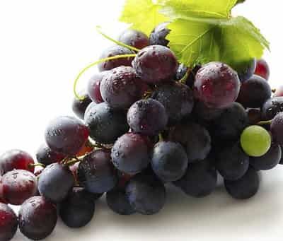 夏季减肥瘦身食品有哪些,怎样才能快速健康瘦身 减肥 第4张-瘦瘦减肥网 夏季减肥瘦身食品有哪些,怎样才能快速健康瘦身 减肥 第4张