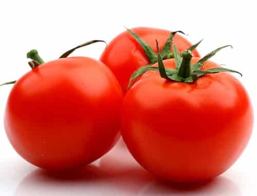 秋天吃那些食物可以减肥,十种减肥食物库解决肥胖问题 关于肥胖 第5张-瘦瘦减肥网 秋天吃那些食物可以减肥,十种减肥食物库解决肥胖问题 关于肥胖 第5张