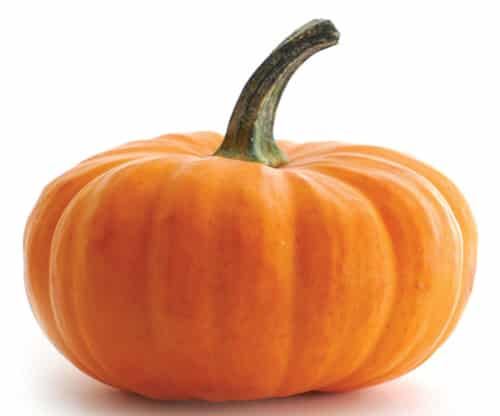 秋天吃那些食物可以减肥,十种减肥食物库解决肥胖问题 关于肥胖 第9张-瘦瘦减肥网 秋天吃那些食物可以减肥,十种减肥食物库解决肥胖问题 关于肥胖 第9张