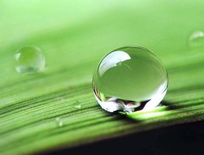 夏季快速科学健康减肥法,瘦身甩脂轻松进行不反弹 减肥方法 第1张-瘦瘦减肥网 夏季快速科学健康减肥法,瘦身甩脂轻松进行不反弹 减肥方法 第1张