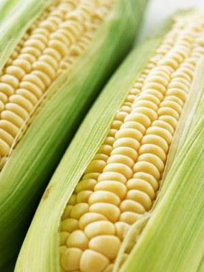 秋季减肥食品有哪些?秋天减肥食谱帮你甩秋膘 减肥食谱 第3张-瘦瘦减肥网 秋季减肥食品有哪些?秋天减肥食谱帮你甩秋膘 减肥食谱 第3张