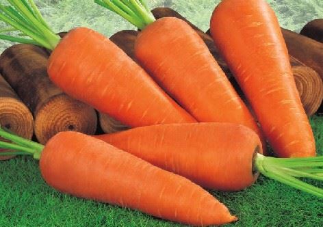 秋季减肥食品有哪些?秋天减肥食谱帮你甩秋膘 减肥食谱 第4张-瘦瘦减肥网 秋季减肥食品有哪些?秋天减肥食谱帮你甩秋膘 减肥食谱 第4张