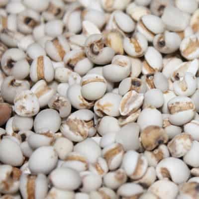 一周薏米减肥瘦身食谱,狂甩赘肉快速瘦出曲线 减肥食谱 第5张-瘦瘦减肥网 一周薏米减肥瘦身食谱,狂甩赘肉快速瘦出曲线 减肥食谱 第5张