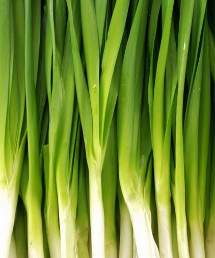 秋季减肥食品有哪些?秋天减肥食谱帮你甩秋膘 减肥食谱 第2张-瘦瘦减肥网 秋季减肥食品有哪些?秋天减肥食谱帮你甩秋膘 减肥食谱 第2张