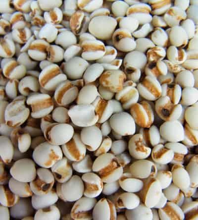 一周薏米减肥瘦身食谱,狂甩赘肉快速瘦出曲线 减肥食谱 第3张-瘦瘦减肥网 一周薏米减肥瘦身食谱,狂甩赘肉快速瘦出曲线 减肥食谱 第3张