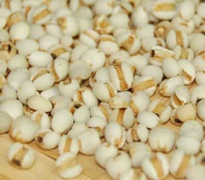 一周薏米减肥瘦身食谱,狂甩赘肉快速瘦出曲线 减肥食谱 第1张-瘦瘦减肥网 一周薏米减肥瘦身食谱,狂甩赘肉快速瘦出曲线 减肥食谱 第1张