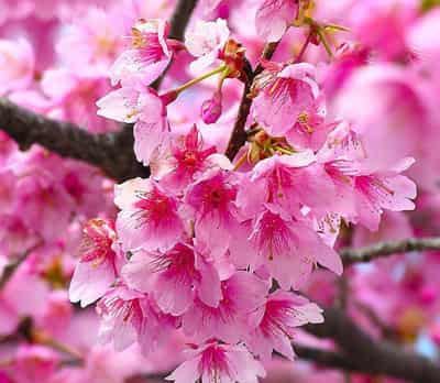 夏季另类科学快速减肥法，抛弃陈旧想法投入瘦身大队 快速减肥 第1张