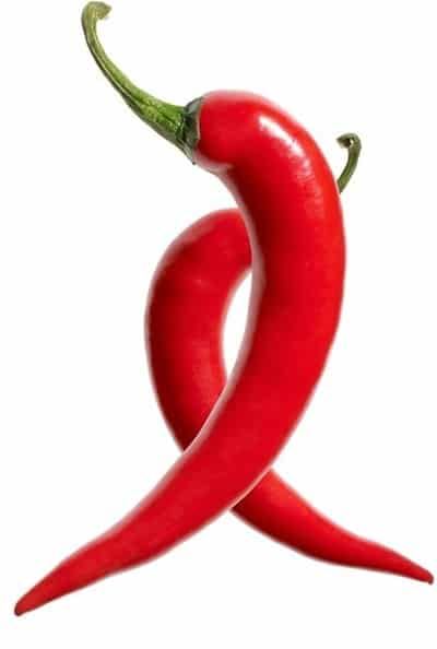 夏季哪些食物有助于减肥,吃什么能健康快速瘦身 饮食减肥 第8张-瘦瘦减肥网 夏季哪些食物有助于减肥,吃什么能健康快速瘦身 饮食减肥 第8张