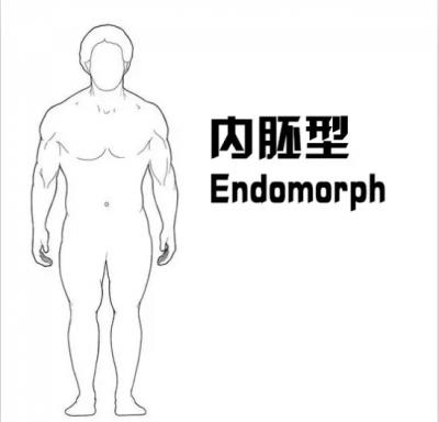 深蹲起能瘦腿吗,可以瘦腿但不适合内胚型人 瘦腿 第4张-瘦瘦减肥网 深蹲起能瘦腿吗,可以瘦腿但不适合内胚型人 瘦腿 第4张