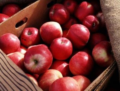 吃什么水果减肥，一周减肥计划不重样 减肥水果 第4张