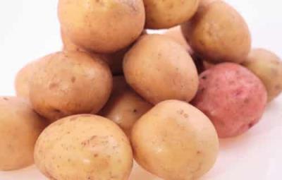 健康不节食的土豆减肥方法,刮油消脂瘦的快 节食减肥 第6张-瘦瘦减肥网 健康不节食的土豆减肥方法,刮油消脂瘦的快 节食减肥 第6张