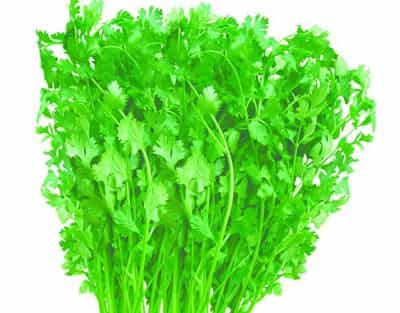 健康科学饮食减肥法,教你瘦身小妙招小常识 减肥方法 第4张-瘦瘦减肥网 健康科学饮食减肥法,教你瘦身小妙招小常识 减肥方法 第4张