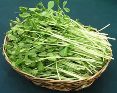 纯天然绿色减肥食品,最好的瘦身健康蔬菜 减肥 第4张-瘦瘦减肥网 纯天然绿色减肥食品,最好的瘦身健康蔬菜 减肥 第4张