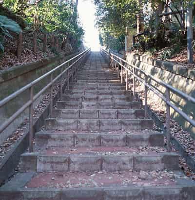 冬季不节食日常减肥小窍门,日常生活减肥运动有哪些 节食减肥 第1张-瘦瘦减肥网 冬季不节食日常减肥小窍门,日常生活减肥运动有哪些 节食减肥 第1张
