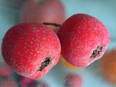 懒人科学瘦身减肥食品,健康快速吃出苗条曲线 懒人减肥 第2张-瘦瘦减肥网 懒人科学瘦身减肥食品,健康快速吃出苗条曲线 懒人减肥 第2张