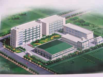 办公室白领减肥法，帮助OL快速有效甩赘肉 减肥方法 第2张