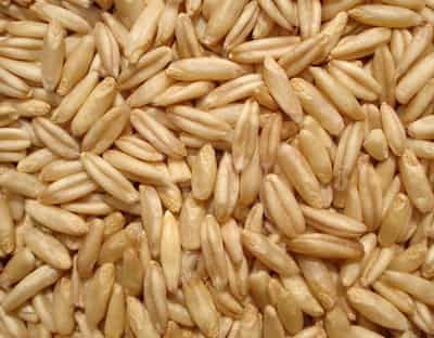 夏季一周减肥瘦身食谱，让你七天内快速瘦身 减肥食谱 第5张