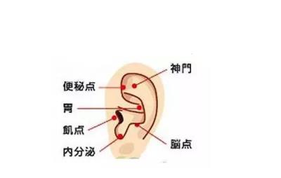 控制食欲变成易瘦体质，分享一天控制食欲计划表 减肥 第1张