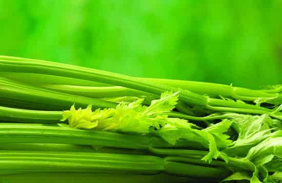 夏天减肥的最佳方法,清脂排毒月瘦10斤 减肥 第4张-瘦瘦减肥网 夏天减肥的最佳方法,清脂排毒月瘦10斤 减肥 第4张